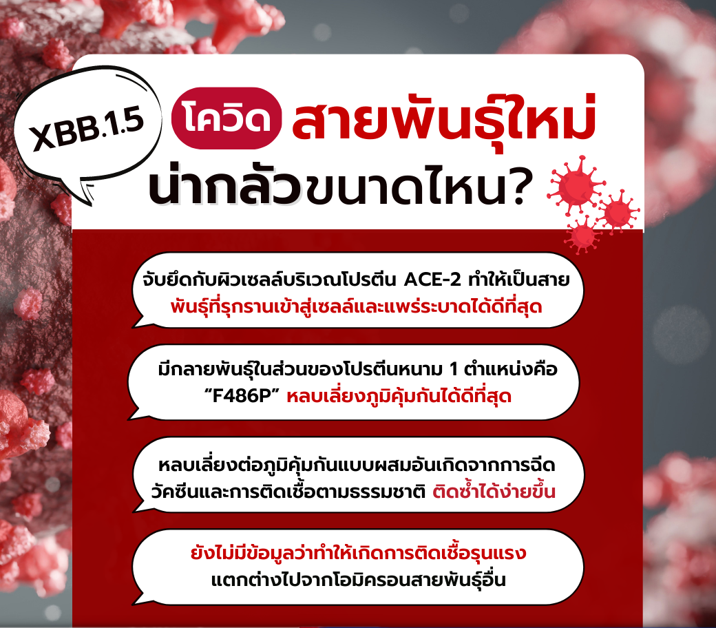 โควิดสายพันธุ์ใหม่ XBB.1.5 น่ากลัวขนาดไหน_.png